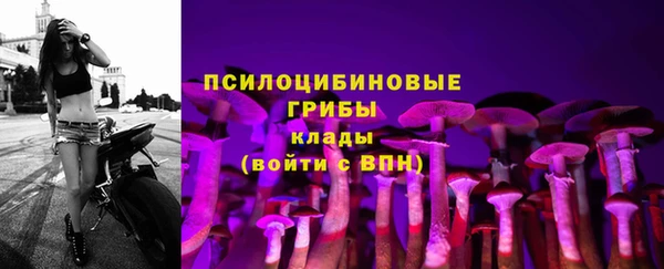 мяу мяу мука Михайлов