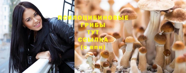 ALPHA-PVP Михайловка