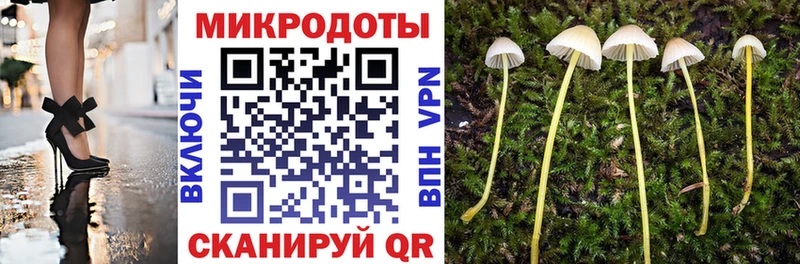 Псилоцибиновые грибы мицелий  Разумное 